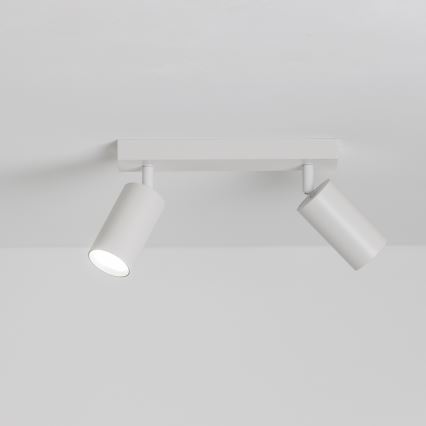 Brilagi - Reflektorska svjetiljka SELE 2xGU10/30W/230V bijela