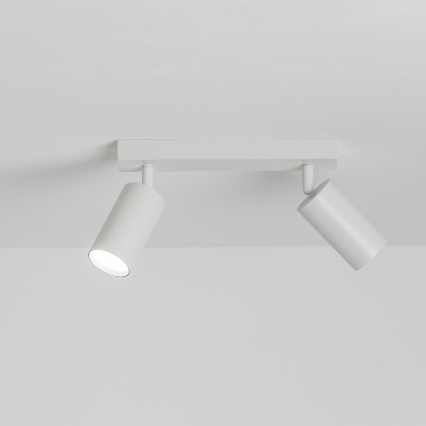 Brilagi - Reflektorska svjetiljka SELE 2xGU10/30W/230V bijela