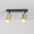 BRILAGI - Reflektorska svjetiljka SELE GOLDEN 2xGU10/30W/230V crna/zlatna