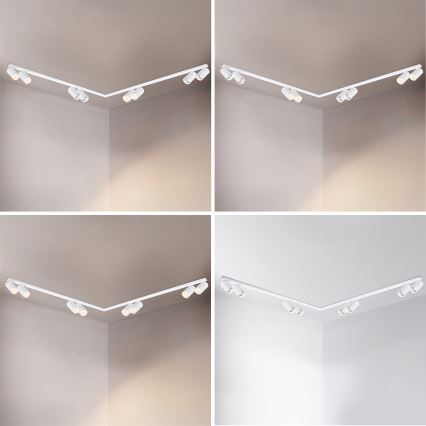 Brilagi - Reflektorska svjetiljka SELE LONG 8xGU10/30W/230V bijela