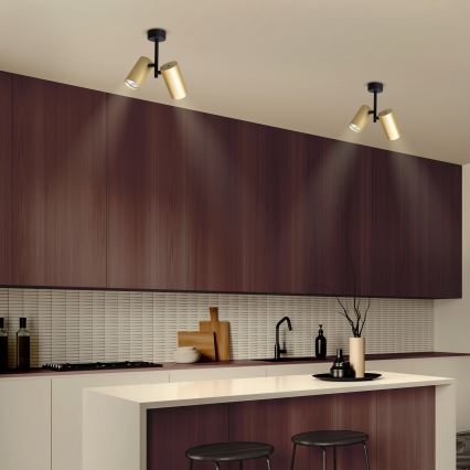 Brilagi - Reflektorska svjetiljka SELE VERTICAL 2xGU10/30W/230V crna/zlatna
