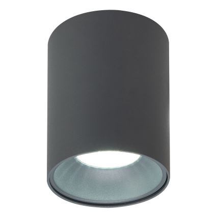 Brilagi - Reflektorska svjetiljka TRINE 1xGU10/30W/230V antracit