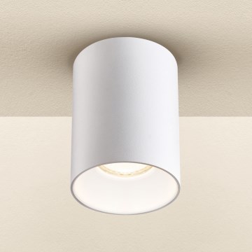Brilagi - Reflektorska svjetiljka TRINE 1xGU10/30W/230V bijela