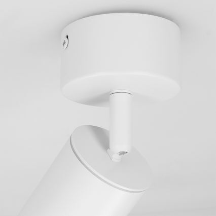Brilagi - Reflektorska svjetiljka za kupaonicu SELE 1xGU10/30W/230V IP44 bijela