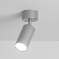 Brilagi - Reflektorska svjetiljka za kupaonicu SELE 1xGU10/30W/230V IP44 srebrna