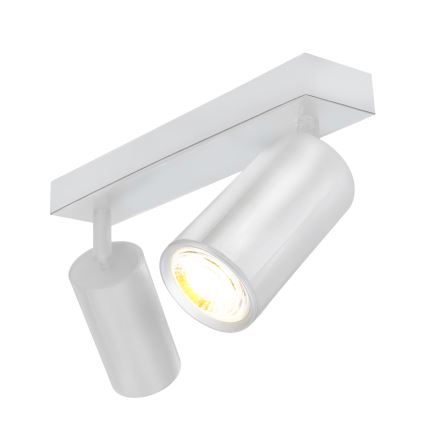 Brilagi - Reflektorska svjetiljka za kupaonicu SELE 2xGU10/30W/230V IP44 sjajni krom
