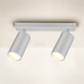 Brilagi - Reflektorska svjetiljka za kupaonicu SELE 2xGU10/30W/230V IP44 srebrna