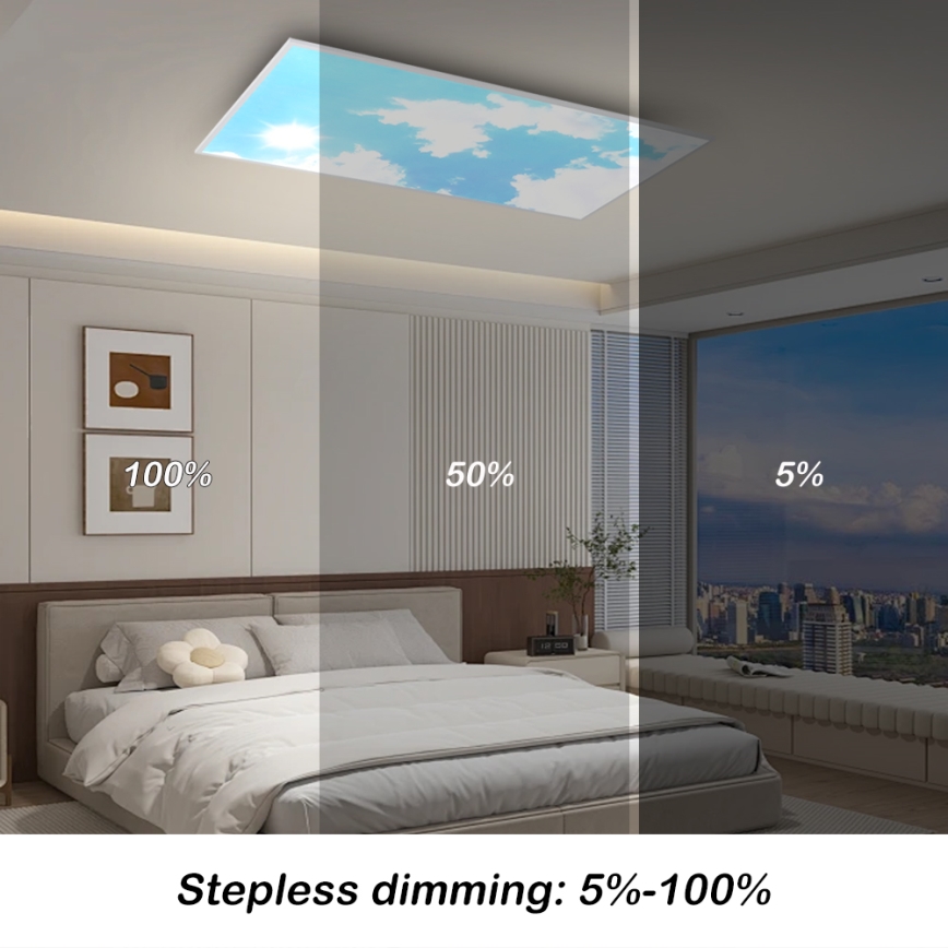 Brilagi - LED stropna svjetiljka s prigušivanjem SLIMFRAME SKY LED/80W/230V 120x60 cm 3000-6000K srebrna/plava + daljinski upravljač