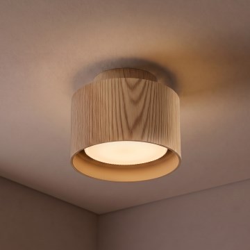 Brilagi - Spot svjetiljka BACKLIT 1xGX53/15W/230V, promjer 10 cm, u dekoru hrasta