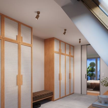 Brilagi - Spot svjetiljka CRESTO 1xGU10/10W/230V smeđa