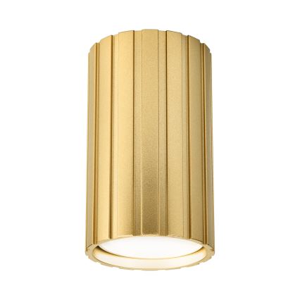 Brilagi - Spot svjetiljka CRISPINA 1xGU10/10W/230V 10 cm zlatna