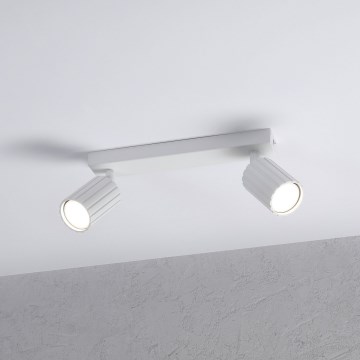 Brilagi - Spot svjetiljka CRISPINA 2xGU10/10W/230V bijela
