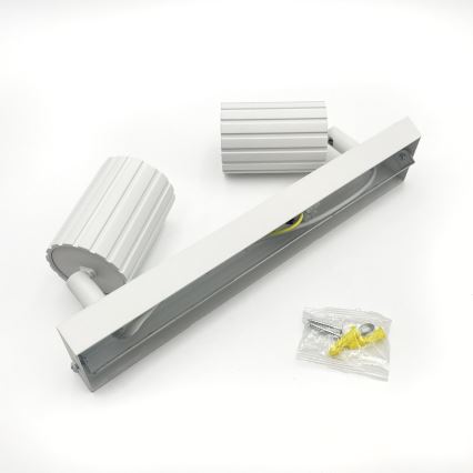 Brilagi - Spot svjetiljka CRISPINA 2xGU10/10W/230V bijela