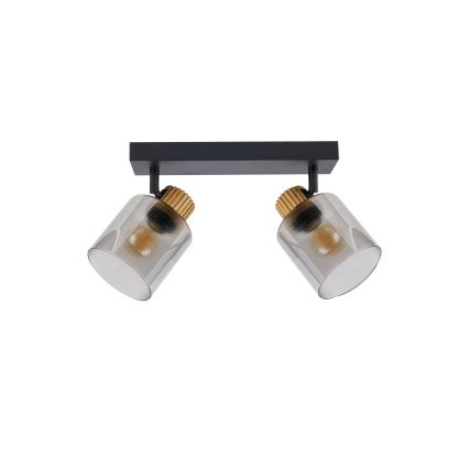 Brilagi - Spot svjetiljka HYGGE 2xE14/15W/230V crna/dimljena