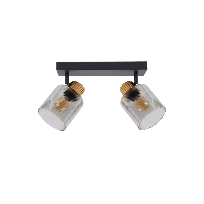 Brilagi - Spot svjetiljka HYGGE 2xE14/15W/230V crna/dimljena