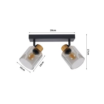 Brilagi - Spot svjetiljka HYGGE 2xE14/15W/230V crna/dimljena