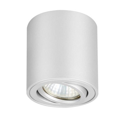 Brilagi - Spot svjetiljka MIA 1xGU10/30W/230V 84x80 mm srebrna IP54