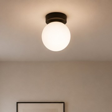 Brilagi - Spot svjetiljka MILO 1xE27/60W/230V crna