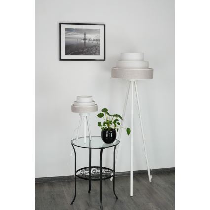 Brilagi - Stolna lampa ALASKA LUNETA 1xE27/15W/230V siva/krem