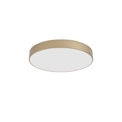 Brilagi - stropna LED svjetiljka POOL LED/60W/230V 3000/4000/6000K Ø 50 cm zlatna