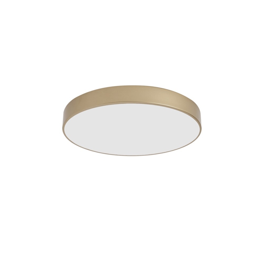 Brilagi - stropna LED svjetiljka POOL LED/60W/230V 3000/4000/6000K Ø 50 cm zlatna