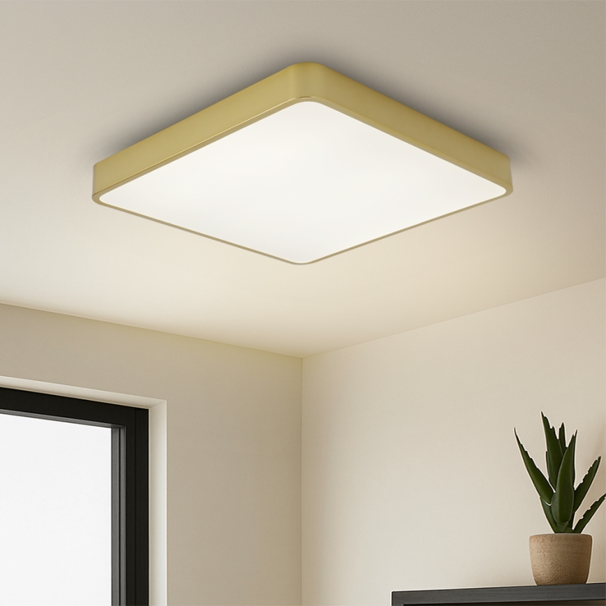 Brilagi - stropna LED svjetiljka POOL SQUARE LED/36W/230V 3000/4000/6000K 40x40 cm zlatna