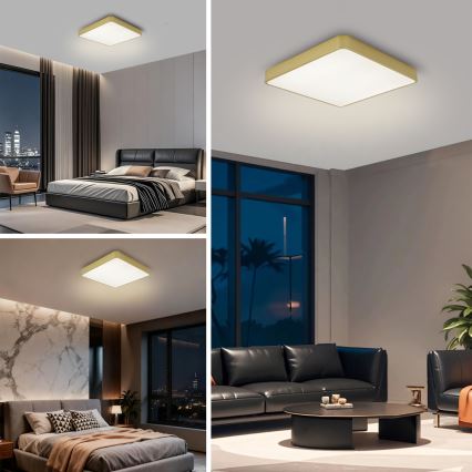 Brilagi - stropna LED svjetiljka POOL SQUARE LED/36W/230V 3000/4000/6000K 40x40 cm zlatna