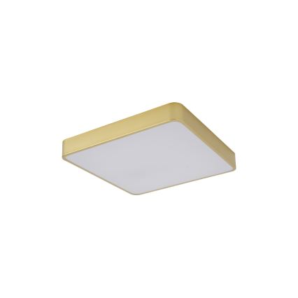 Brilagi - stropna LED svjetiljka POOL SQUARE LED/36W/230V 3000/4000/6000K 40x40 cm zlatna