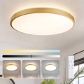 Brilagi - Stropna LED svjetiljka s mogućnošću prigušivanja GLASS POOL DOUBLE LED/80W/230V 3000-6000K 60 cm zlatna + daljinski upravljač