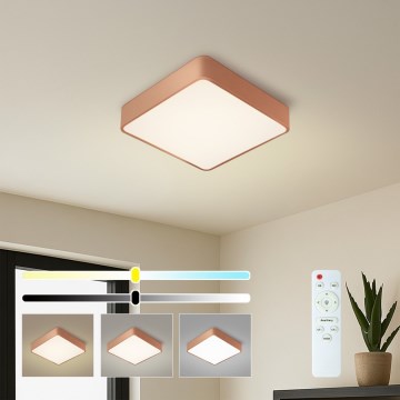 Brilagi - stropna LED svjetiljka s mogućnošću prigušivanja POOL LED/36W/230V 3000-6000K 40x40 cm brončana + daljinski upravljač