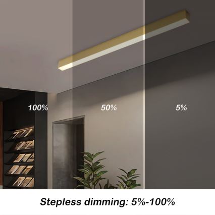 Brilagi - LED stropna svjetiljka s prigušivanjem SLEEKLINE SMART LED/40W/230V 3000-6000K Wi-Fi Tuya zlatna + daljinski upravljač