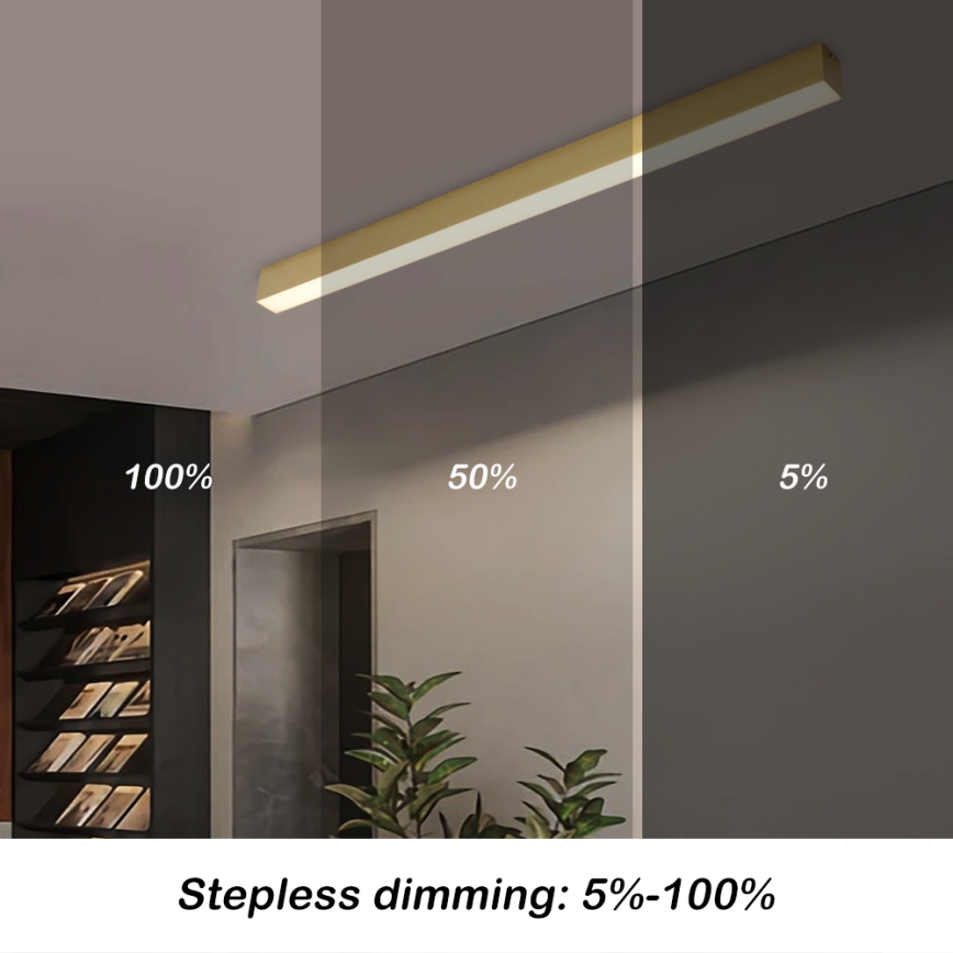 Brilagi - LED stropna svjetiljka s prigušivanjem SLEEKLINE SMART LED/40W/230V 3000-6000K Wi-Fi Tuya zlatna + daljinski upravljač