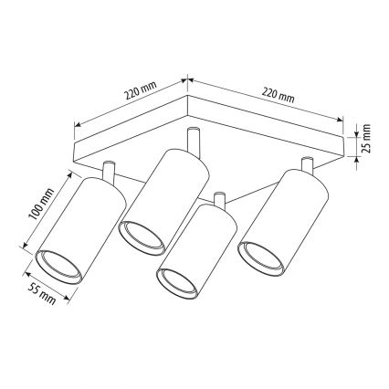 Brilagi - Stropna reflektorska svjetiljka SELE SQUARE 4xGU10/30W/230V crna