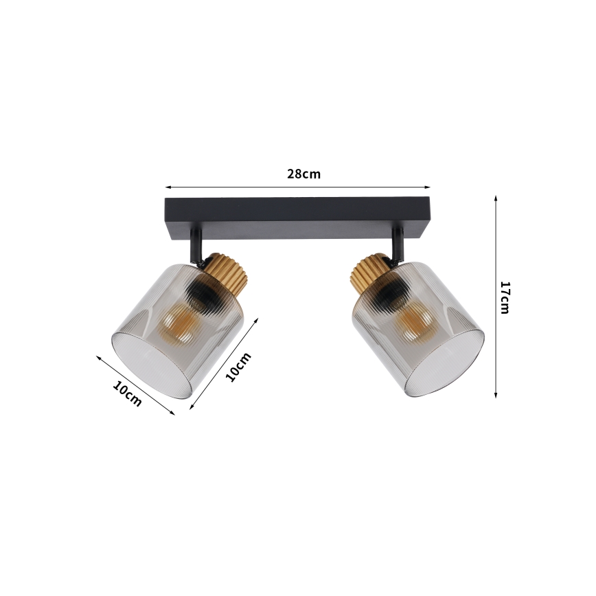 Brilagi - Stropna spot svjetiljka HYGGE 2xE14/15W/230V crna/dimljena