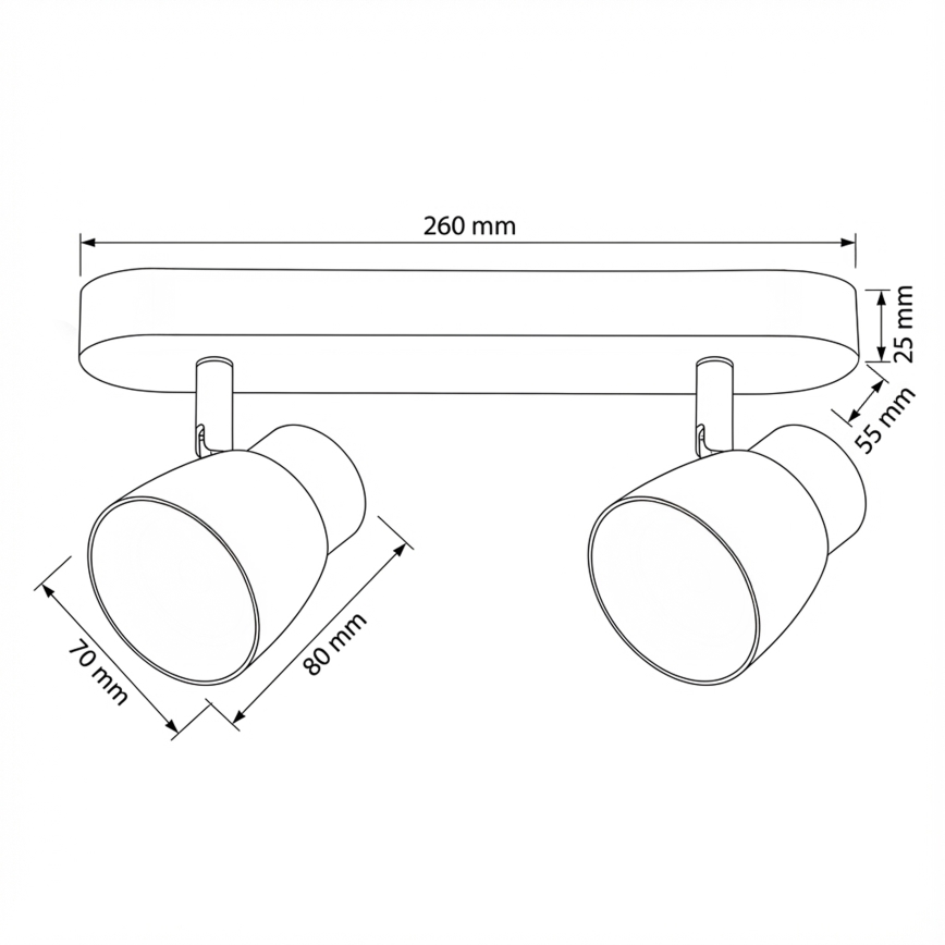 Brilagi - Stropna spot svjetiljka NUGGET 2xGU10/30W/230V crna/zlatna