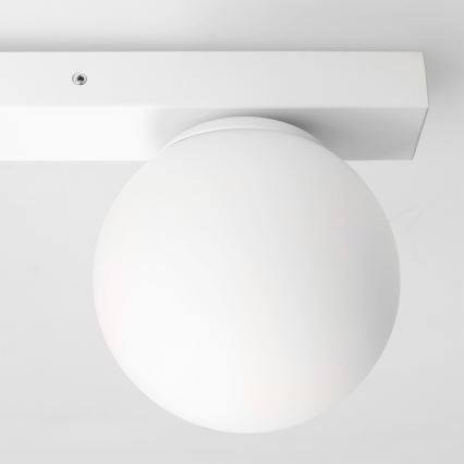 Brilagi - Stropna spot svjetiljka SELE BALL 3xGU10/30W/230V + 1xG9/10W bijela
