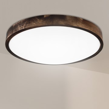 Brilagi - Stropna svjetiljka CARVALHO SMOKEY 3xE27/60W/230V hrast Ø 47,5 cm