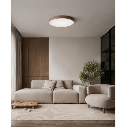 Brilagi - Stropna svjetiljka CLARE 4xE27/40W/230V Ø 50 cm smeđa