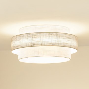 Brilagi - Stropna svjetiljka DOVER SPACE LED/12W/230V pr. 50 cm 3000K/4000K/6400K siva/krem