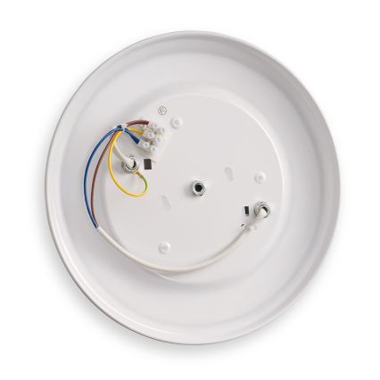 BRILAGI - Stropna svjetiljka FRESCO 2xE27/40W/230V, promjer 30 cm, mesing