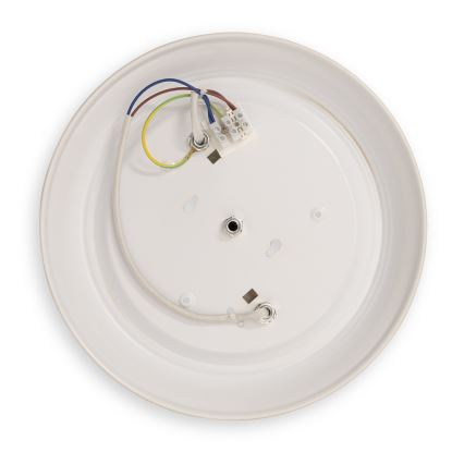 BRILAGI - Stropna svjetiljka FRESCO 2xE27/40W/230V Ø 28 cm zlatna