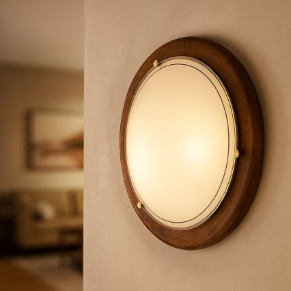 Brilagi - Stropna svjetiljka ORBIS 1xE27/60W/230V Ø 30 cm borovina