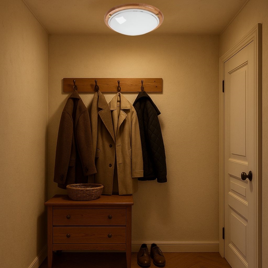 Brilagi - Stropna svjetiljka ORBIS 2xE27/60W/230V Ø 38 cm borovina