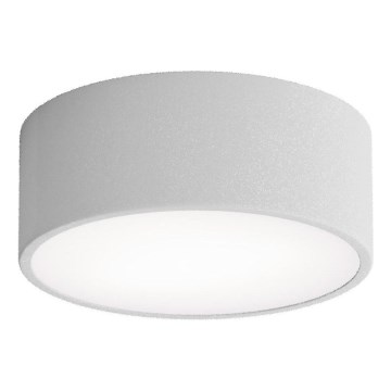 Brilagi - Stropna svjetiljka sa senzorom CLARE 1xE27/24W/230V pr. 20 cm siva