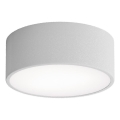 Brilagi - Stropna svjetiljka sa senzorom CLARE 1xE27/24W/230V promjer 20 cm siva