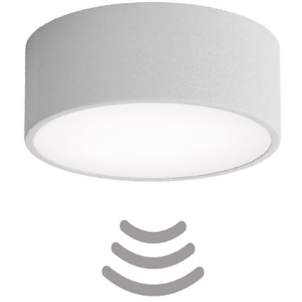 Brilagi - Stropna svjetiljka sa senzorom CLARE 1xE27/40W/230V promjer 20 cm siva