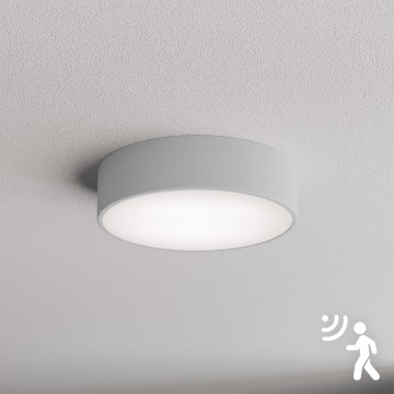 Brilagi - Stropna svjetiljka sa senzorom CLARE 2xE27/40W/230V promjer 30 cm siva