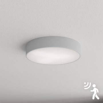 Brilagi - Stropna svjetiljka sa senzorom CLARE 3xE27/40W/230V promjer 40 cm siva
