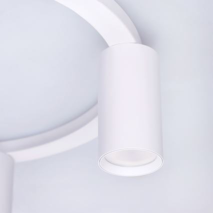 BRILAGI - Stropna svjetiljka SELE 4xGU10/30W/230V bijela