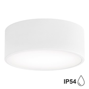 Brilagi - Stropna svjetiljka za kupaonicu CLARE 1xE27/24W/230V pr. 20 cm IP54 bijela